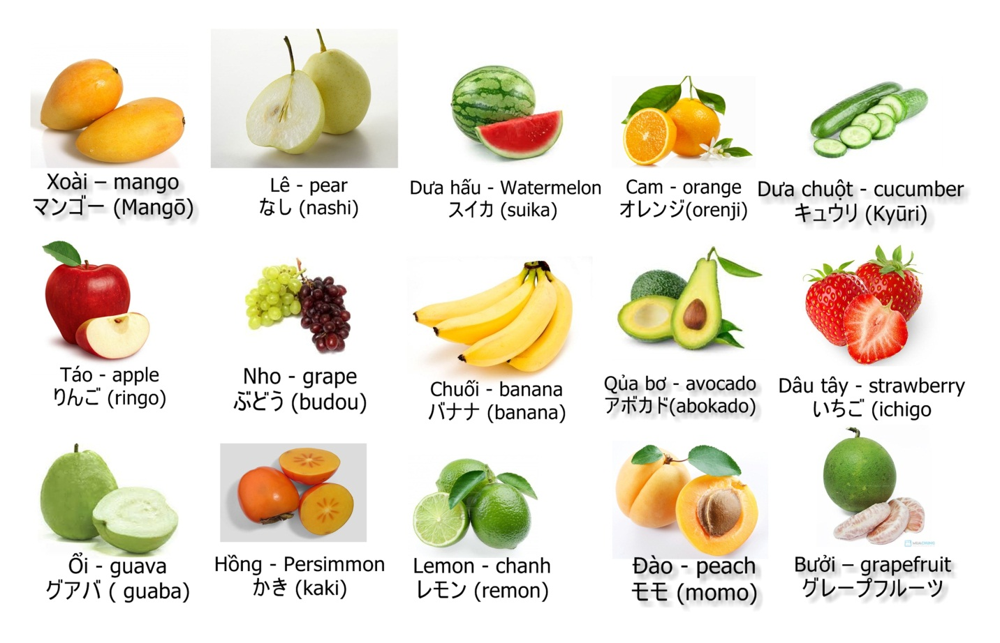 Kinh-nghiệm-học-tiếng-Nhật-hiệu-quả