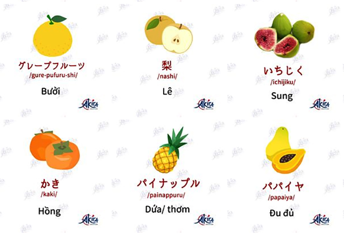 học tiếng nhật bằng tranh các loại quả